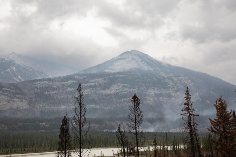 CP173964549