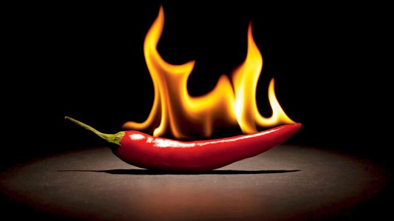 Mirchi-oa-1759289764907_d