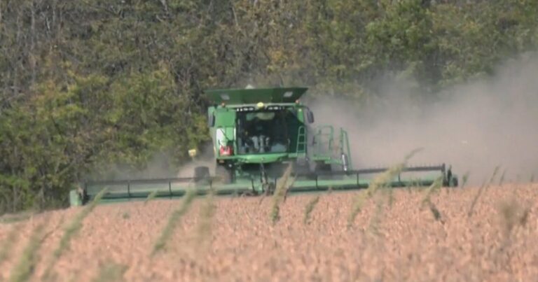 farmfinal