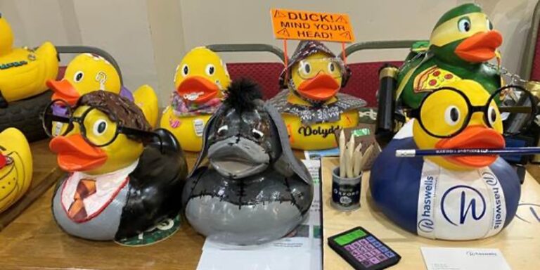 hopehouseducks