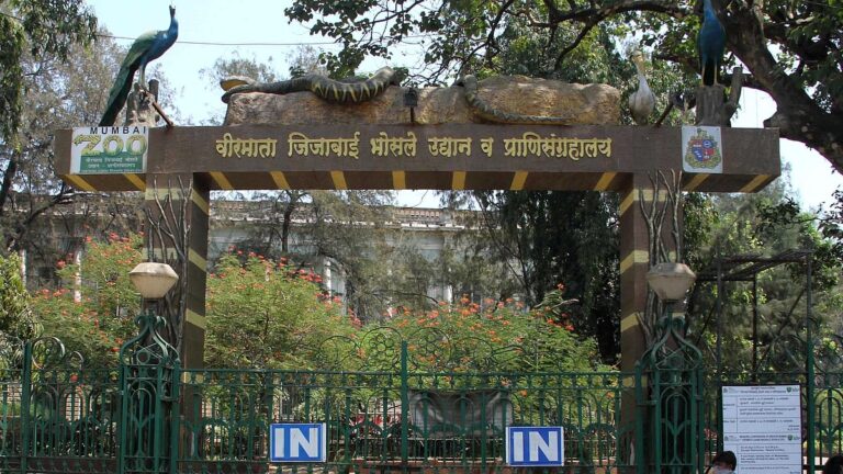 16MAR20BLSONI-ZOO-01