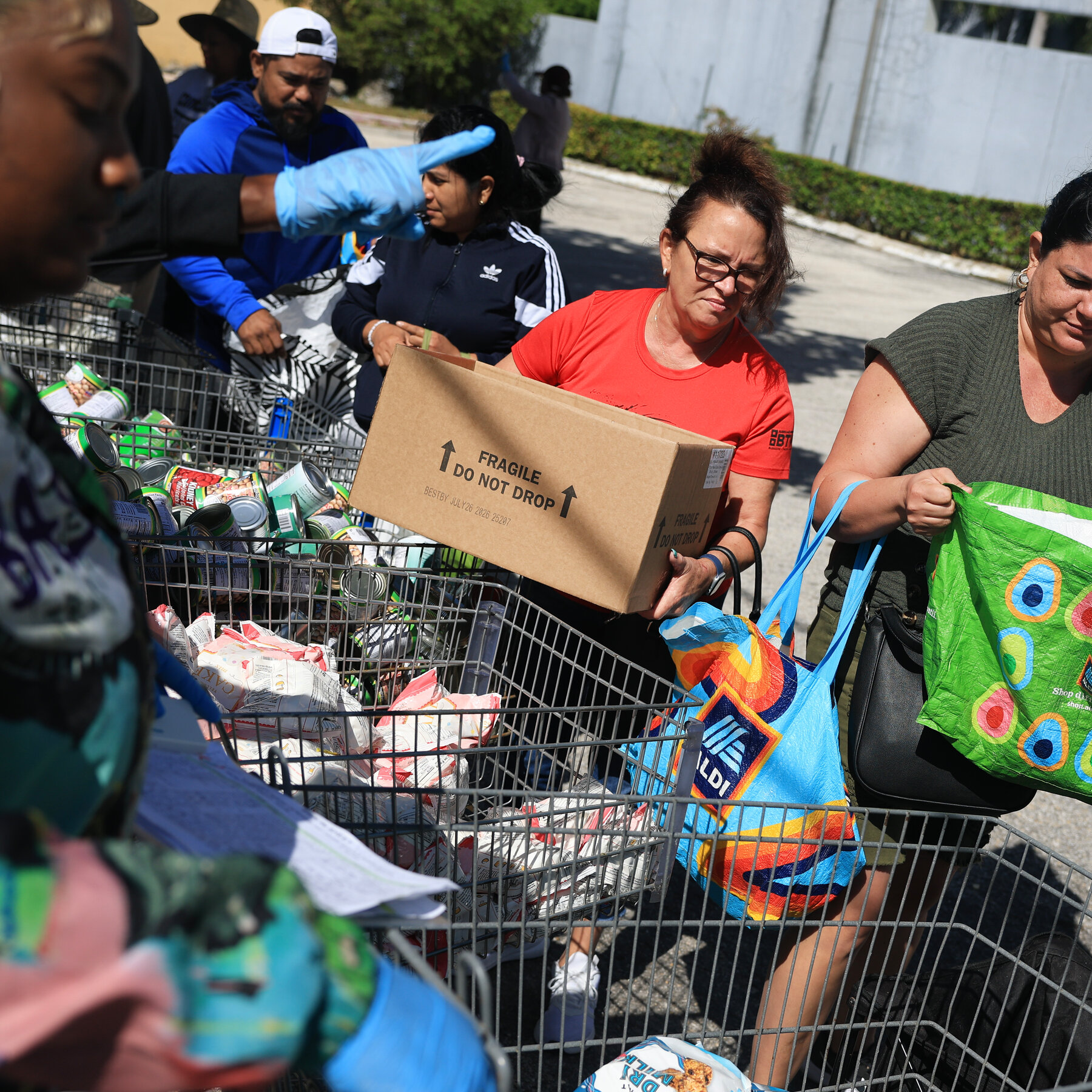 31dc-factcheck-bhtz-mediumSquareAt3X