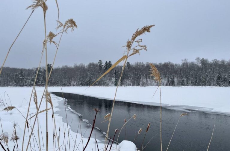 attachment-Winter1