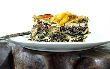 lasagna910x683