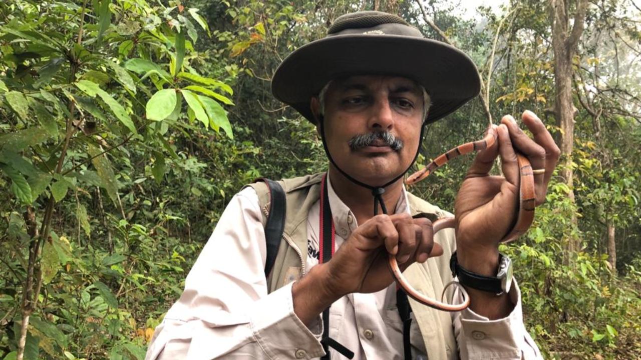 menon-rj-1760545282270_d