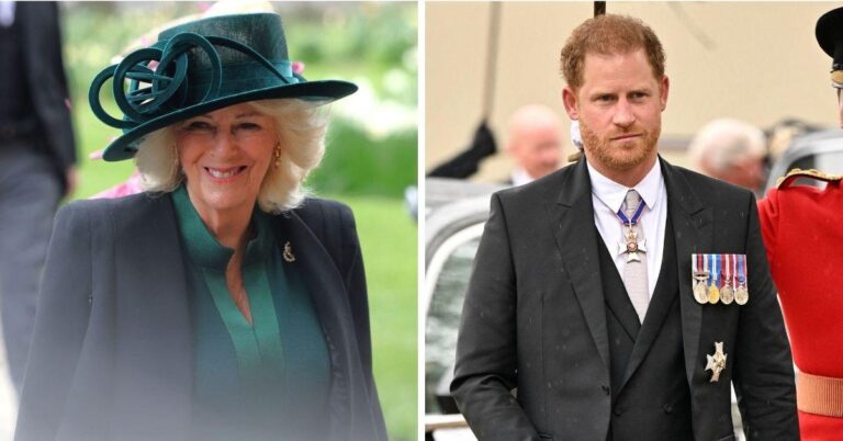 prince-harry-queen-camilla-claim-slammed-lies-ex-royal-butler-1759777163142