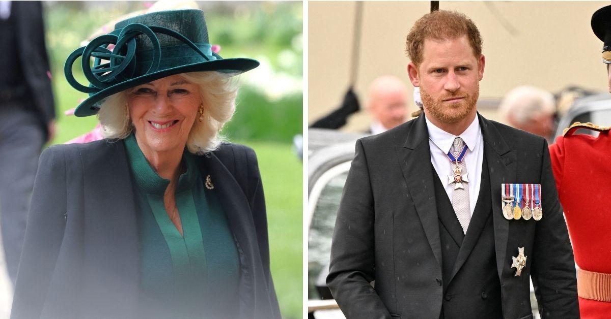 prince-harry-queen-camilla-claim-slammed-lies-ex-royal-butler-1759777163142