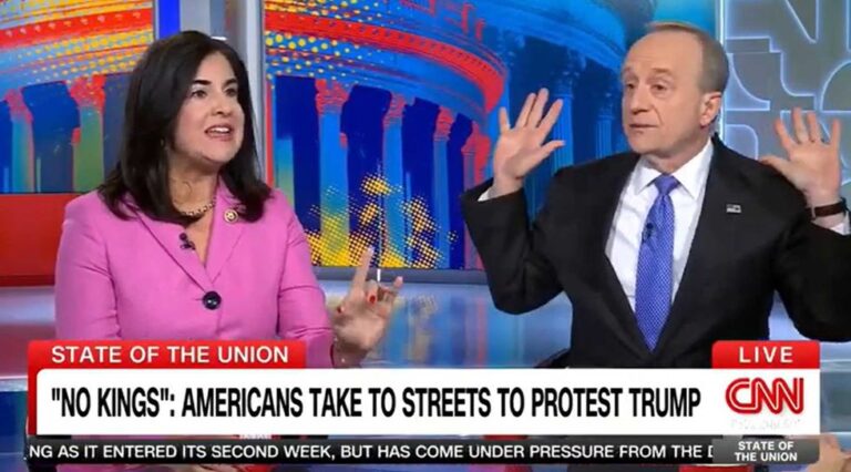 rep-nicole-malliotakis-a-republican-from-new-york-appeared-alongside-democratic-consultant-paul-begala-on-cnn