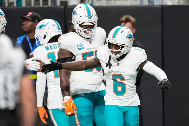 tfl-z-dolphins1-82