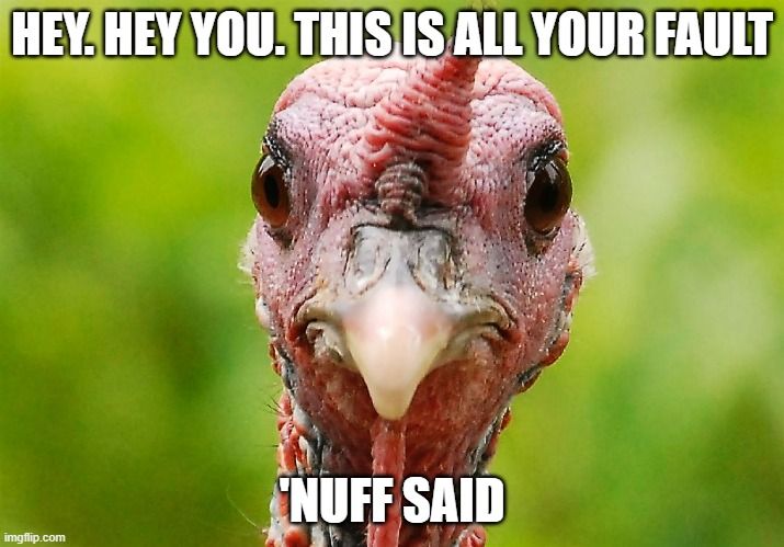 33a602fc-0b3a-40a2-a2f1-959e22edec16