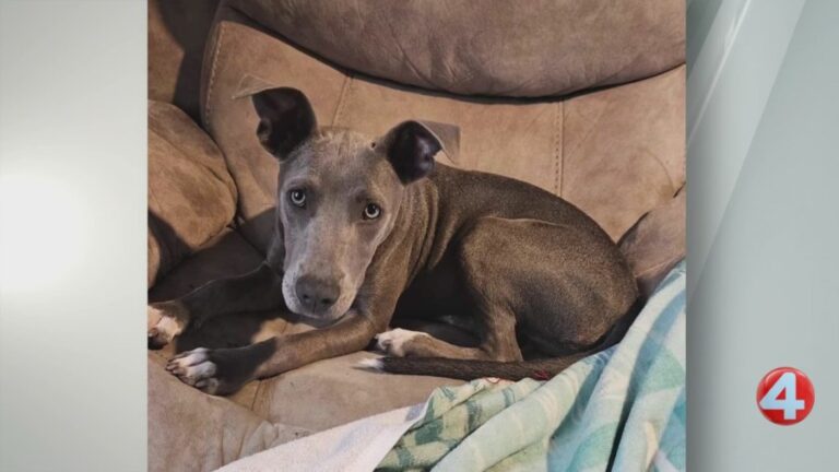 46A3A21BB097D49CE987EF5AE507A929