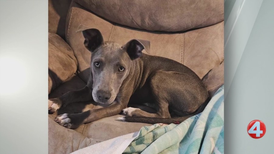 46A3A21BB097D49CE987EF5AE507A929