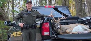 692215817de91.image_