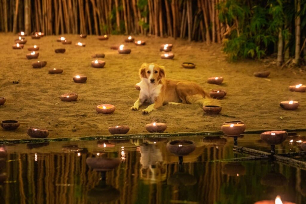 GettyImages-1129677998