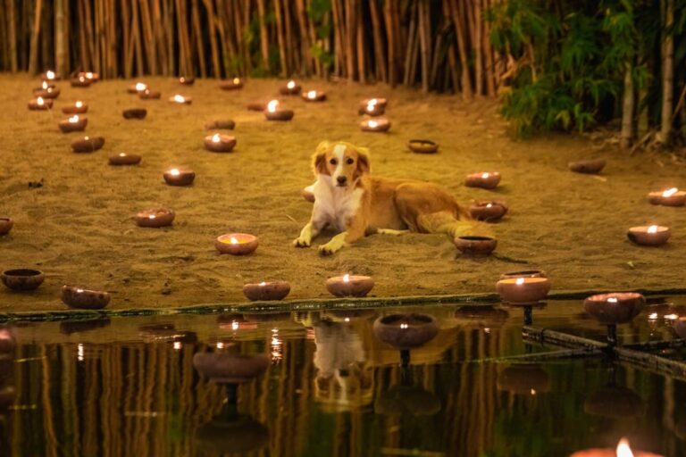 GettyImages-1129677998