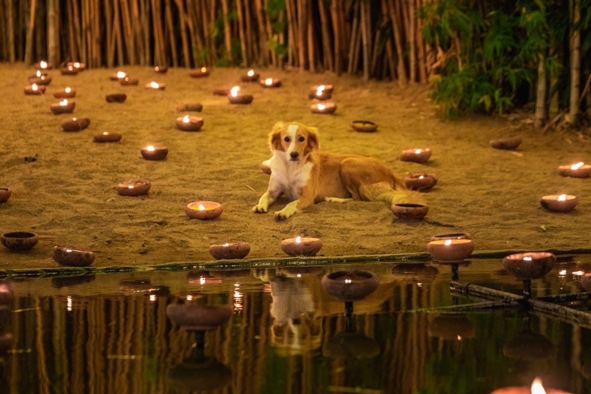 GettyImages-1129677998