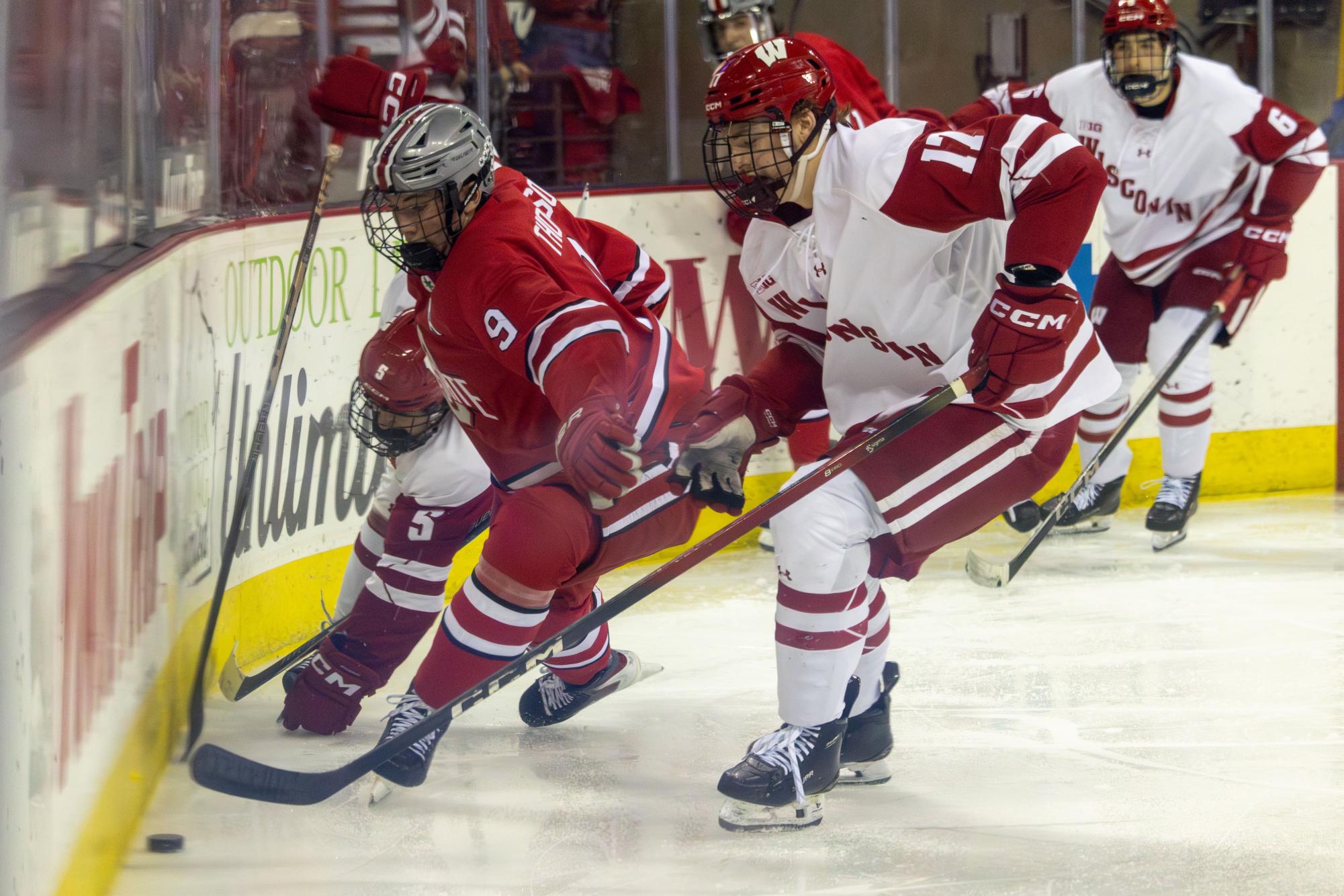 IMG_0762-Enhanced-NR