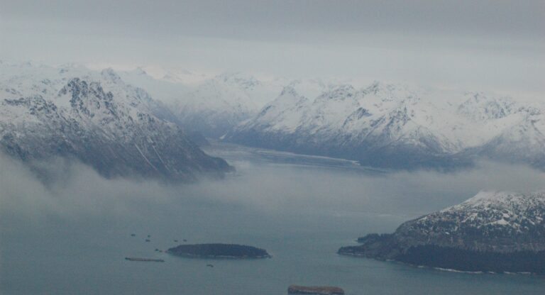 PebbleMineSeanPearson