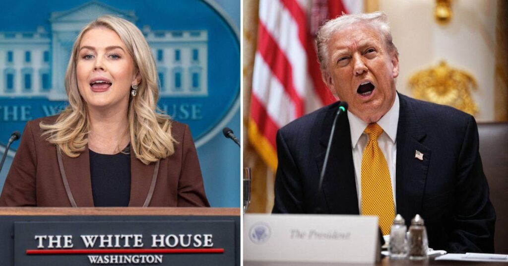 karoline-leavitt-defends-trump-lawmakers-death-1763673987693