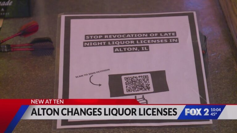 snapshot-2025-11-12T221106.038