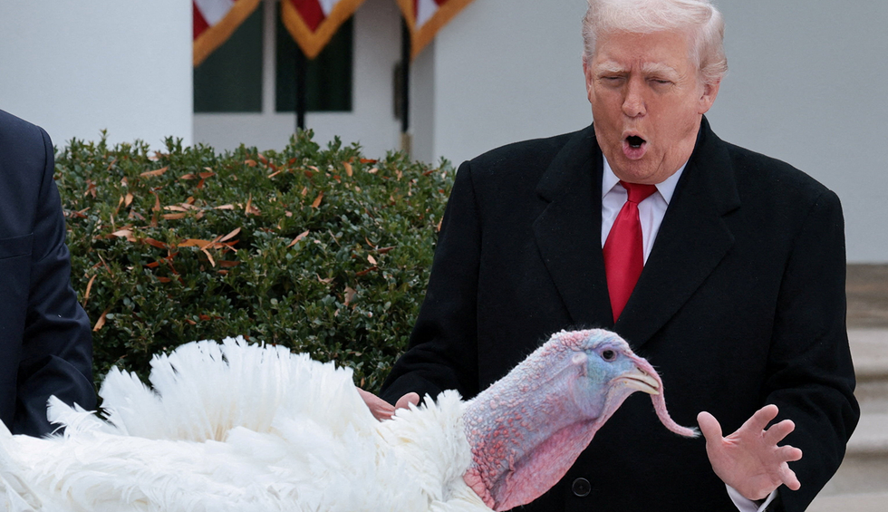 u-s-president-donald-trump-looks-at-gobble-one-of-two-turkeys-to-be-ceremonially-pardoned-for-thanksgiving-in-the-rose-garden-a