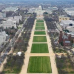 america-250-dc-fair-ufc-fight