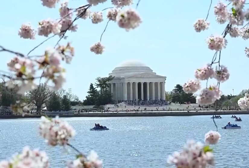 260411_wn_ender_cherry_hpMain_16x9